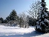 boehland 01