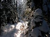 boehland 02