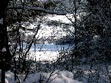 boehland 03