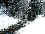 boehland 08