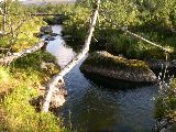 dalaland 04