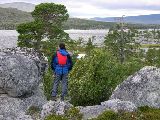 dalaland 11