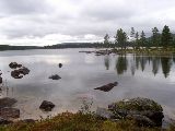 dalaland 16