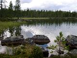 dalaland 21