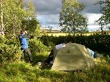 dalaland 25