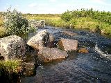dalaland 27