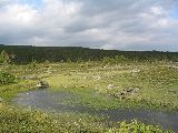 Lappland 15