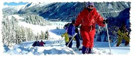 B�hmerwald
