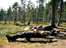 Dalarna